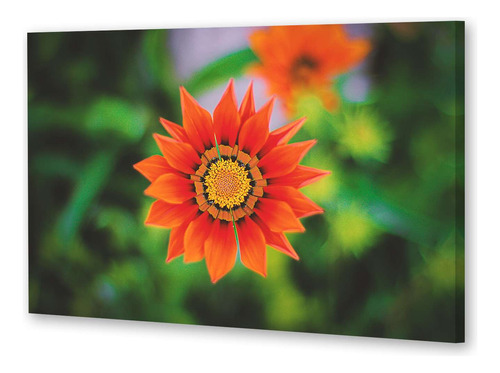 Cuadro 40x60cm Flores Girasol: Radiante Y Alegre P2