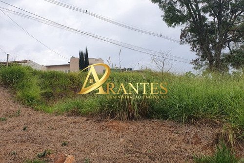 Imagem 2 de 6 de Terreno - Te00012 - 69660815