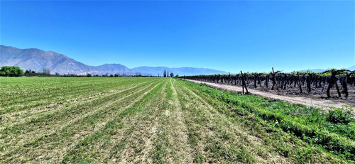 En Venta Parcela En San Rafael, San Felipe, 75.600 M2., En P