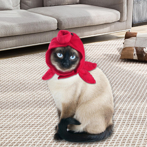 Perro Gato Sombrero Sombrero Divertido Cálido Para Pulpo