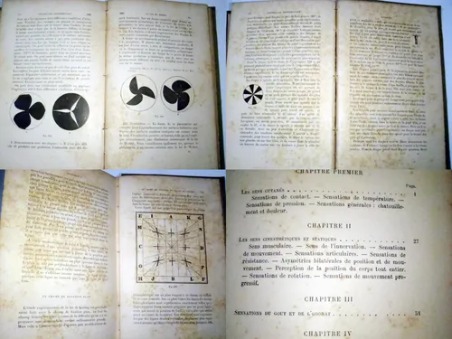 1900 Psicologia Experimental - Sanford - Rarisimo - Frances (Usado)