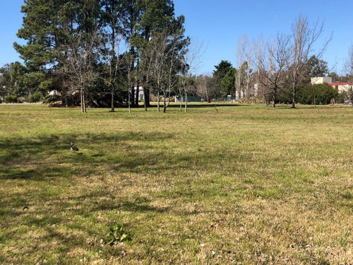 Imagen 1 de 1 de Venta Campo En San Vicente Con Casco. 9 Has.