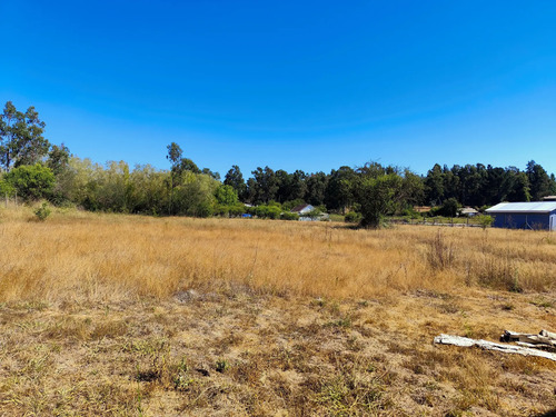 Vende 5000 M2 Con Casa Semiterminada En Quinmavida Colbun