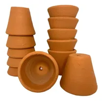 Comprar 12 Macetas Barro Suculentas Cactus Vaso Chico Planta Decora