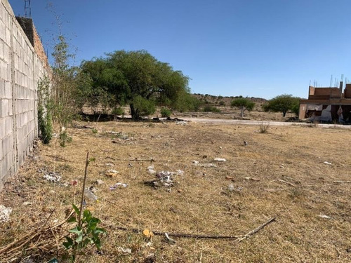 Imagen 2 de 7 de Terreno En Venta Fraccionamiento Ciudad San Isidro