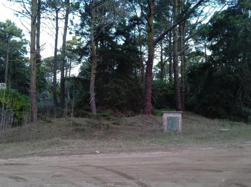 Lote Jilguero Esquina Palmera Carilo