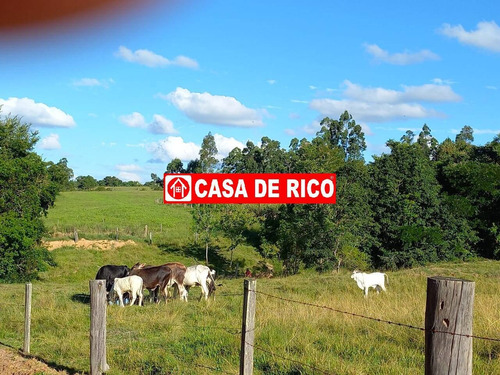Imagem 7 de 10 de Sitio A Venda Em Ibaiti Pr - 641