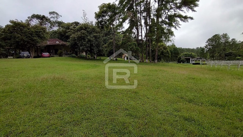 Imagem 19 de 30 de Mini Haras - 213 - 70588973
