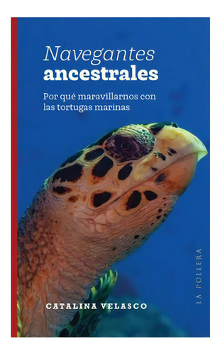 Navegantes Ancestrales, por qué maravillarnos con las tortugas marinas, Catalina Velasto Editorial La pollera tapa blanda en español