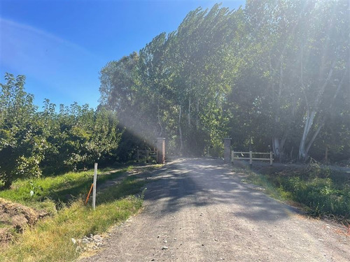 Imagen 9 de 18 de Sitio En Venta En Chillán