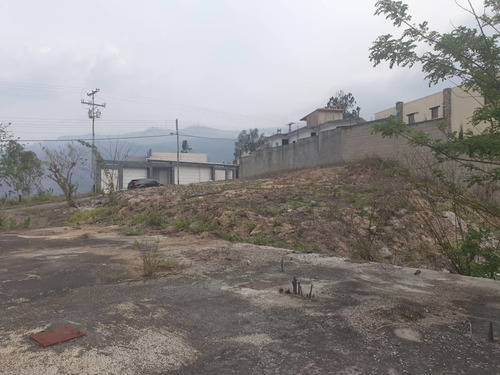 Imagen 3 de 8 de Se Vende Parcela En La Entrada