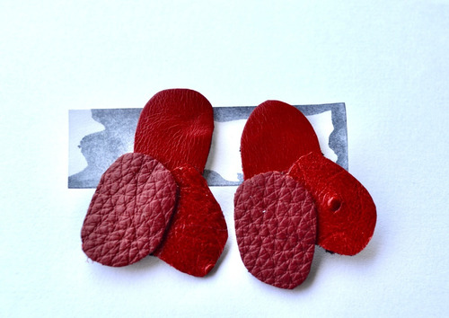 Imagen 4 de 4 de Aros Rojos, Cuero Y Pasante De Acero Quirúrgico