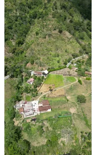 Finca Cafetera En Venta En Andes - Antioquia