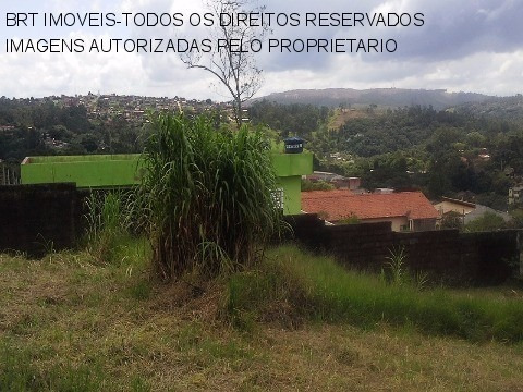 Imagem 6 de 17 de Terreno - Te00049 - 3058071
