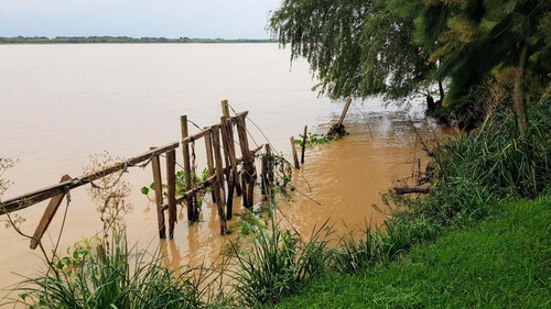 Imagen 25 de 30 de Lote Venta 2da Sección Delta Islas Sobre Paraná De L. Palma