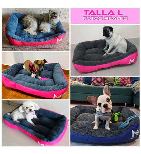 Imagen 8 de 10 de Super Combo / Cama Para Perros L + Pechera M + Paseador