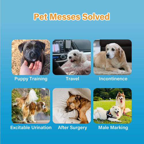 All-absorb A25 Envoltorio Para Perros Machos, 50 Unidades, M