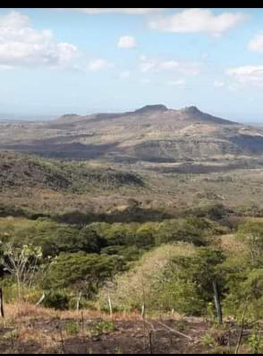 Imagen 4 de 30 de Se Vende Finca De 154 Manzanas