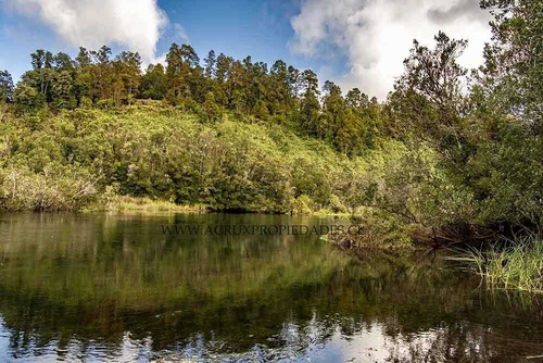 Imagen 4 de 24 de Loteo Con Orilla De Rio En Puerto Varas