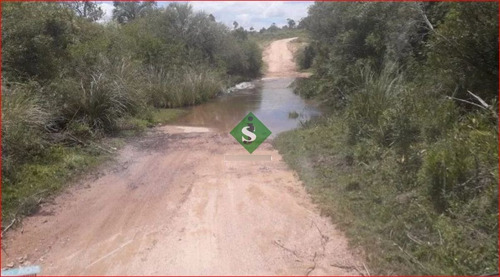 Imagen 12 de 13 de Venta De Campo Zona De Aigua, 121 Hectareas, Con Buen Acceso, Aguadas.