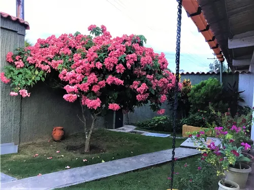 Casita De Playa En Higuerote