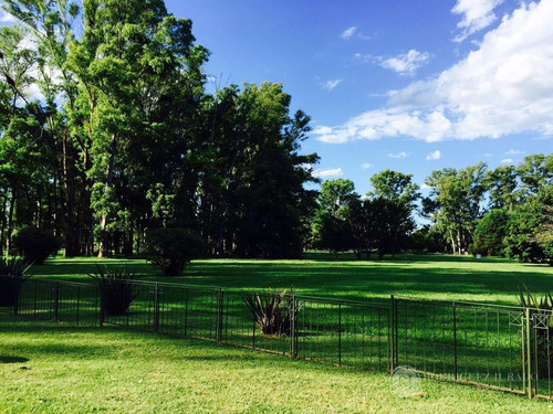Imagen 1 de 6 de Terreno - Haras San Pablo