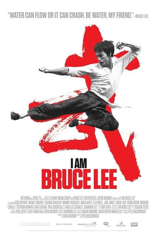 Poster De Bruce Lee El Documental