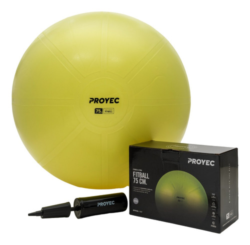 Pelota Esferodinamia 75cm Fitness Pilates Yoga Antiexplocion