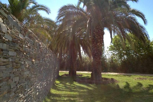 Imagen 6 de 29 de Oportunidad Venta De Amplio Lote En La Mejor Zona De Polo - Caspian Polo Chacras
