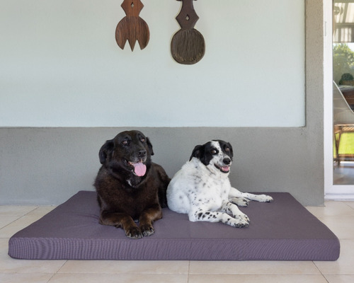 Imagen 2 de 7 de Cama Colchoneta Para Perros Lola Pets Antidesgarro 85x65 Cm