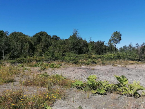 Venta De Parcela Cerca San Javier Pelluco Alto