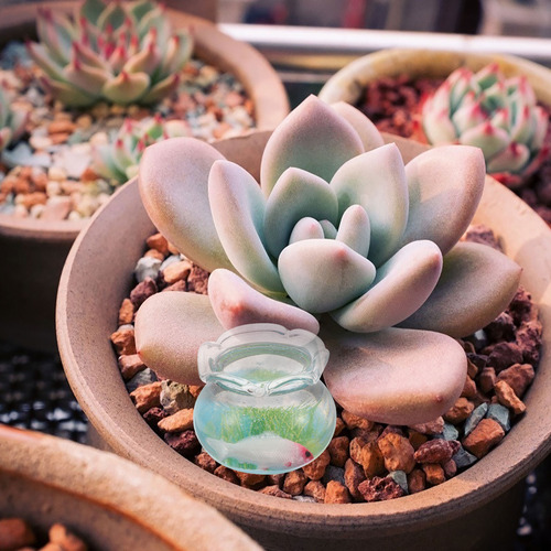 Minicasa De Muñecas Con Figuras De Peces Y Pecera En Miniatu