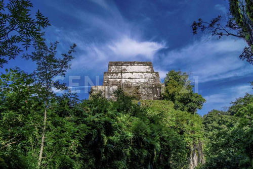 Casa Venta Nueva Una Planta Con Alberca Y Bar, Tepoztlán Morelos