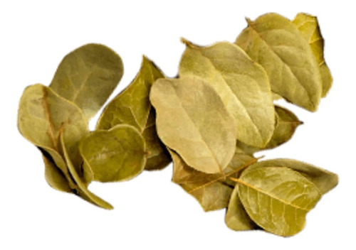 Té Boldo Hierba Deshidratada Infusión 1 Kilo Granel