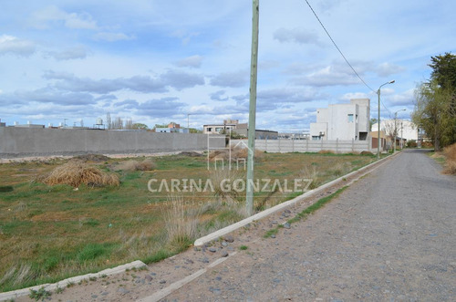 Imagen 9 de 16 de Venta Terreno 996m2 Apto Desarrollo Confluencia Rural Neuquén