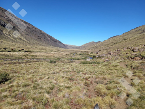 Venta De Estancia En Ruta Provincial 21, Kilómetro 31, Departamento Picunches, Paraje Huarenchenque