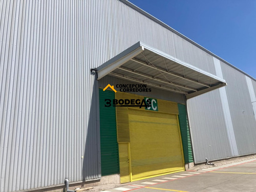 Arriendo Bodega De 1616 M2 En Pi Lo Boza.