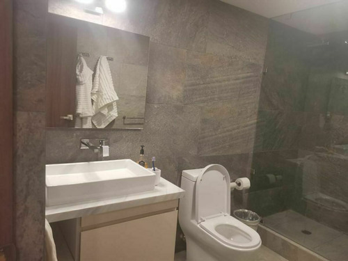 Magnifico Departamento Amueblado En Renta Arquimides Polanco