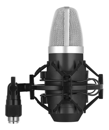 Imagen 4 de 5 de Micrófono Condenser Usb Stagg Sum40 Cardioide Con Shockmount