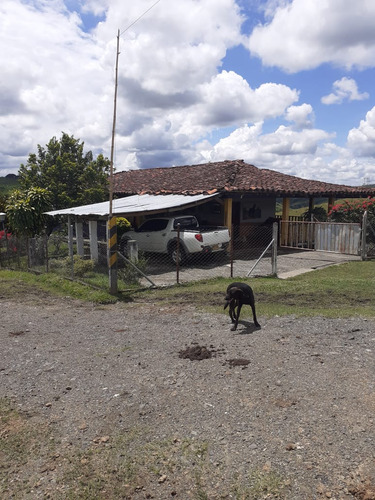 Se Vende Finca La Uribe Valle 