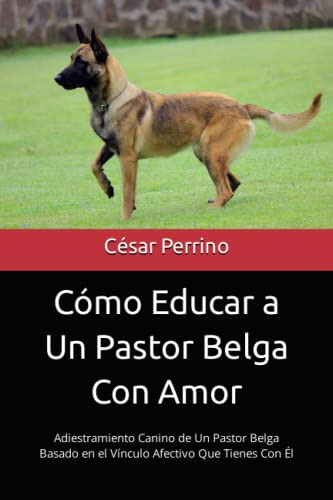 Como Educar A Un Pastor Belga Con Amor: Adiestramiento Canin