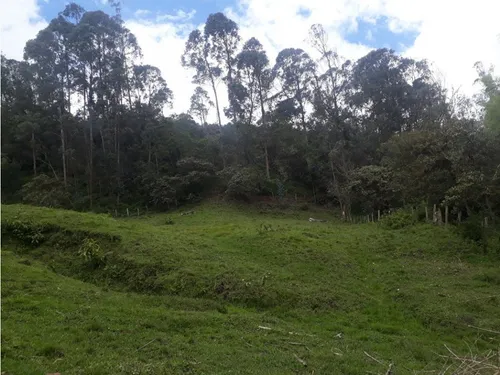 Vendo O Permuto Finca En Junin Cundinamarca