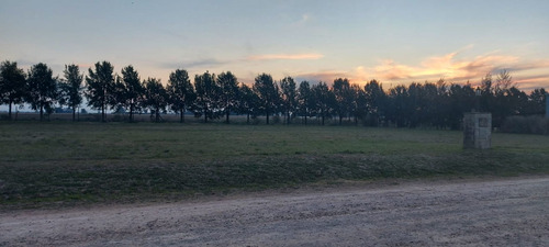 Imagen 12 de 13 de Lote En Venta En Carlos Keen