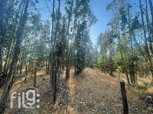 Venta De Terreno En San Nicolás Naturaleza Y Tranquilidad