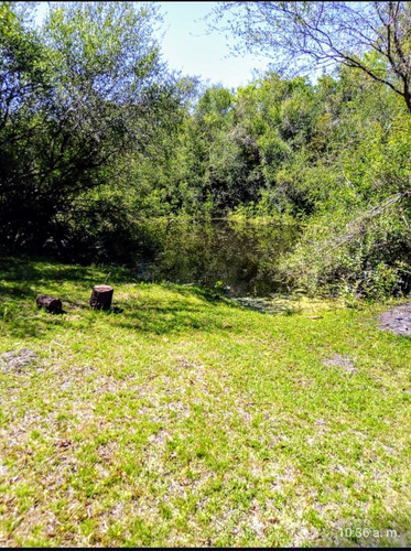 Imagen 3 de 5 de Espacio Verde Con Arroyo Para Pesca Camping Paseos A Caballo