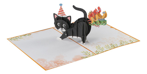 Divertidas Tarjetas De Cumpleaños De Papel 3d Cat Friend