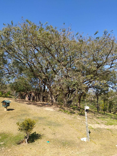 Imagem 6 de 30 de Chácara Á Venda E Para Aluguel Em Joaquim Egídio - Ch006280
