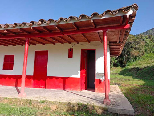 Imagen 10 de 30 de Hermosa Finca Campesina En Venta En Parcelación Excelente Vecindario.