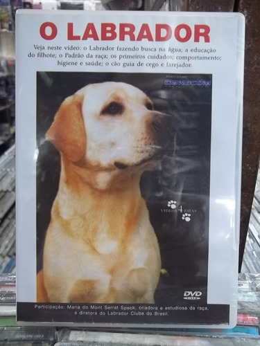 O Labrador Cão Adestramento Dvd Original Estado Impecável