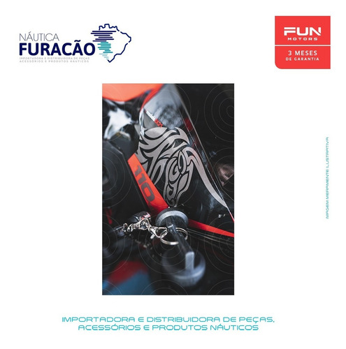 Imagem 14 de 14 de Quadriciclo Atv Utv Ssv Fun Motors Taurus 110